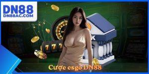 Cược csgo DN88