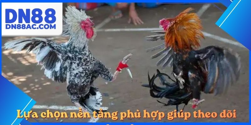 Lựa chọn nền tảng phù hợp giúp theo dõi thuận tiện hơn