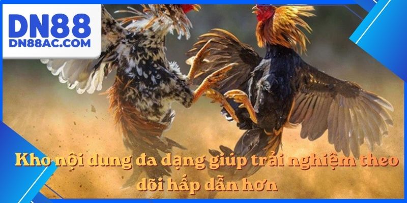 Kho nội dung đa dạng giúp trải nghiệm theo dõi hấp dẫn hơn